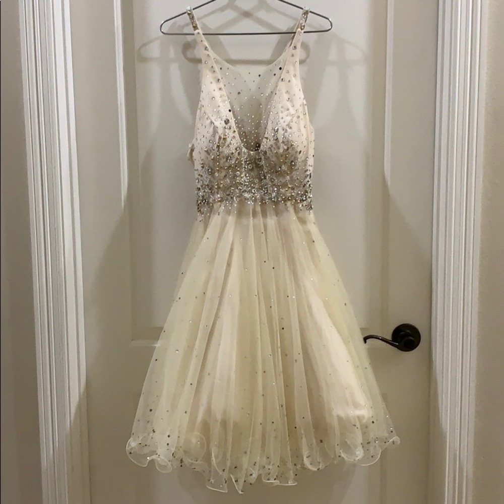 Terani Couture dress